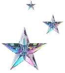 SC Website Services Star Image